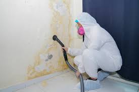 Best Emergency Mold Remediation  in Forest Meadows, CA